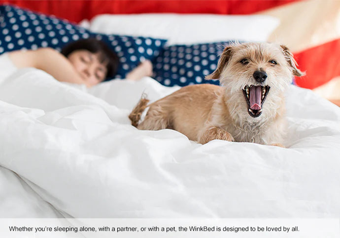 Dog yawning on a bed with a person partially visible, featuring text about the WinkBed.